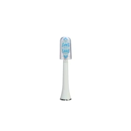 Adult Sonic Electric Toothbrush IPX7 Household
