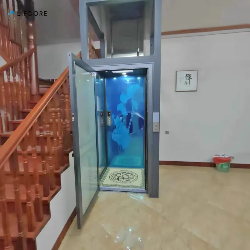 Small Luxury Residential Elevator