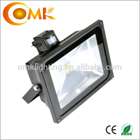 4000LM Epistar COB outdoor LED Sensor flood light