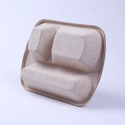 Disposable Molded Pulp Packaging Box Food Lunch Box