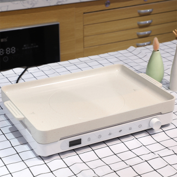 2000W Portable White Induction Cooktop