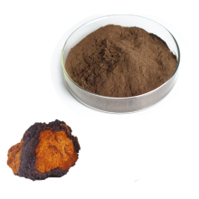 Powdered Extract Chaga 30% Polysaccharides Herb Extract