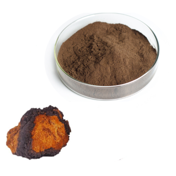 Powdered Extract Chaga 30% Polysaccharides Herb Extract