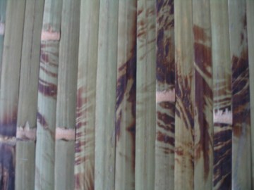 Green Bamboo Wallpaper / Bamboo Wall Covering