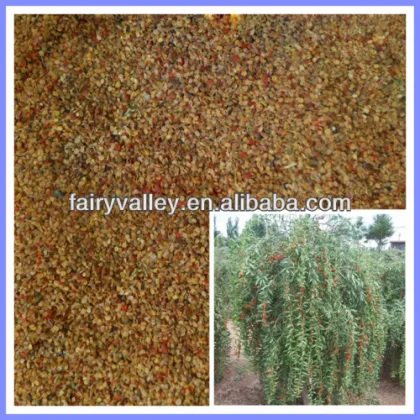 Ningxia Goji Berry Seeds Wolfberry Seeds-The Best Quality Promised From Ningxia Academy Of Agricultural Sciences