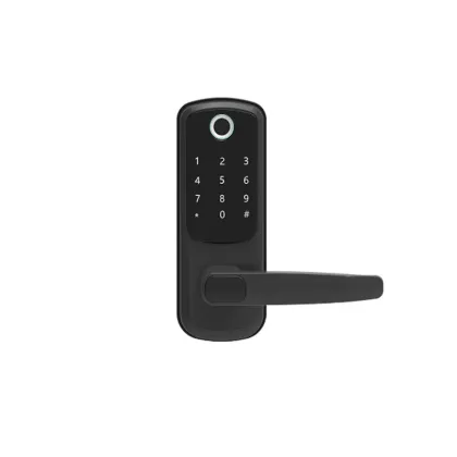 Tuya Waterproof Smart Gate Door Lock Wifi Double Sided Door Fingerprint Smart Locks for Home