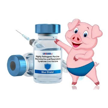 Vaccin viu PRRS foarte patogen pentru porci