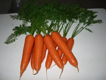 Fresh Root Vegetable Carrot Taste Sweet