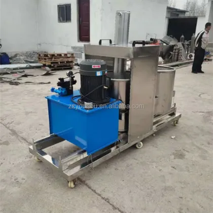 Coconut and Fruit Juice Extraction Machines: Including Cold Pressed Coconut Oil, Coconut Juice Milk Extractor, and Blueberry Grape Juice Equipment