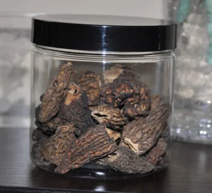 Yunnan Wild Fresh Morel Mushrooms Best Price