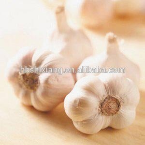 China supplier garlicin feed additive