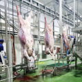 Hot Selling Cattle Slaughtering Machinery