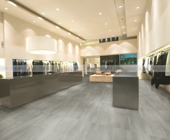 outdoor pattern porcelain floor tiles and vintage bathroom tiles