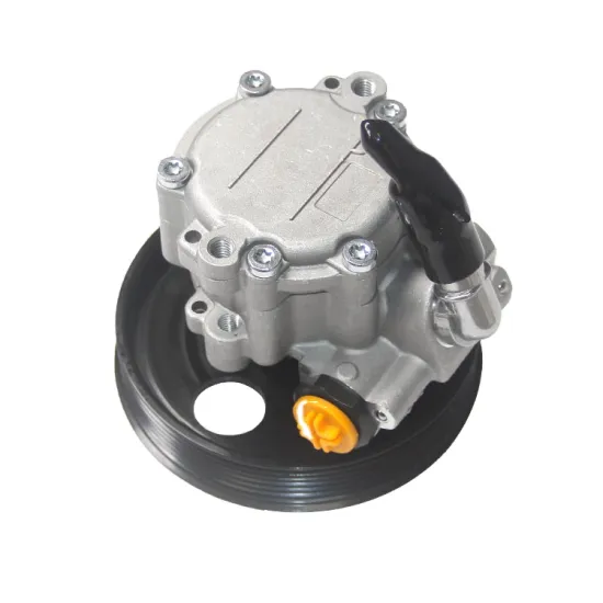High Quality 49110-5510R Power Steering Pump for Kubistar Box 2003 & DACIALOGAN 2004