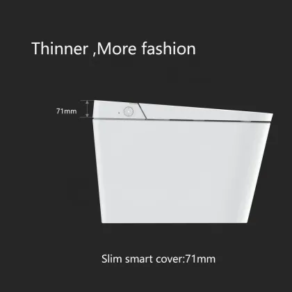 Luxury Intelligent Electric Bidet Smart Toilet