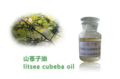 Natural Pure Litsea Cubeba Oil Essential Oil