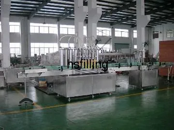 Edible Oil Packing Machine