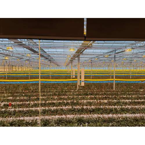 سیستم روشنایی تکمیلی LED گیاهی