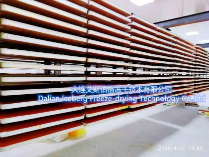 Seabuckthorn Powder Freeze Dryer