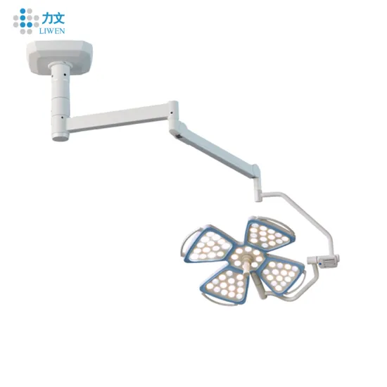 Shandong Lewin Single Dome LED Surgical Lamps