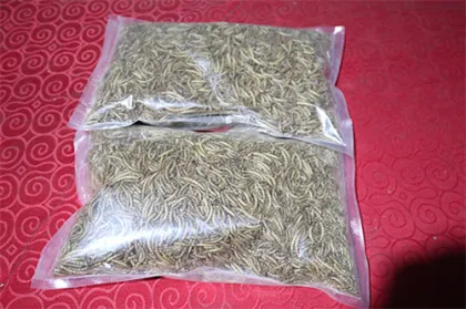 Chicken Wild Birds And Fish Dried Mealworms