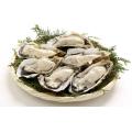 Oester Extract Poeder Oyster Peptide Prijs 10: 1 20: 1