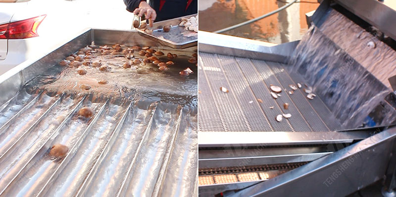 commercial mushroom slicing machine