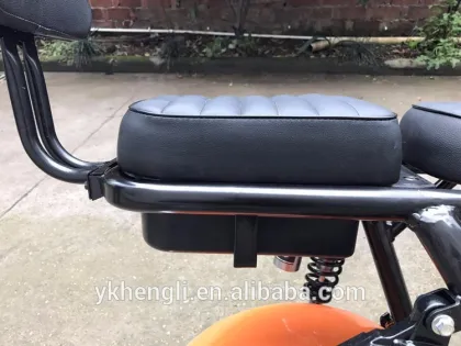 Folding Shenzhen Smart Balance Electric Mobility Scooter 60V