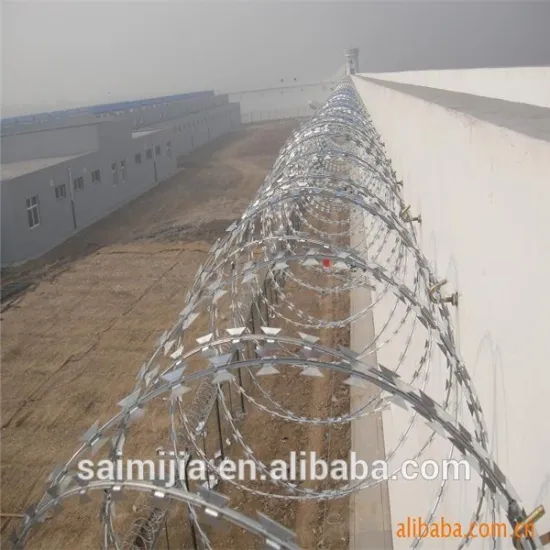 barbed wire roll price fence sale