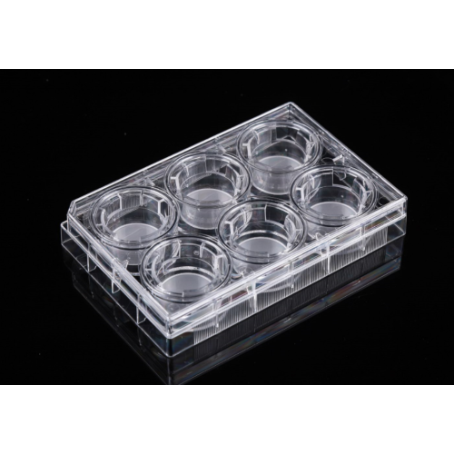 PC Memberane Cell Culture Inserts for 6-well plates