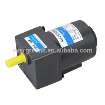 15W micro gear reducer motor