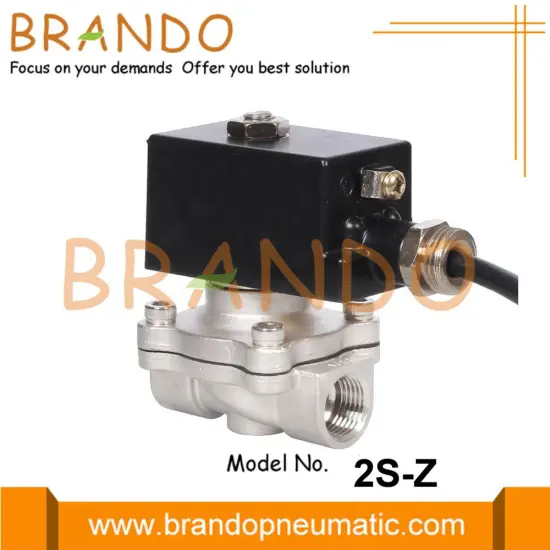 Stainless Steel Explosion Proof Solenoid Valve 24V 220V