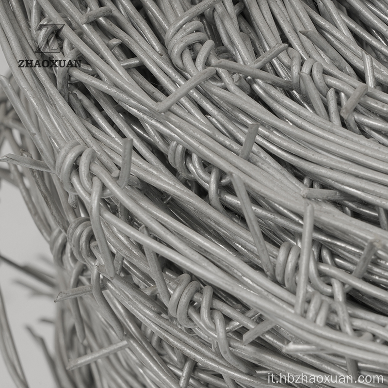 Filo spinato zincato in acciaio inossidabile a basso prezzo