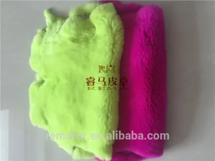 hot selling rex rabbit