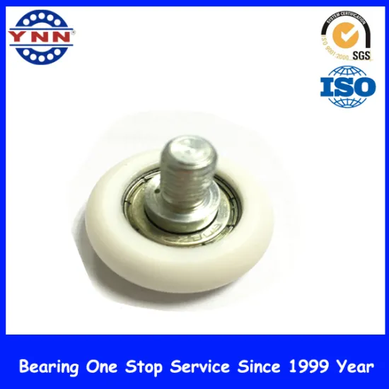 Top Level and High Professional Plastic Deep Groove Ball Bearing (BSRL 33 d8w12)