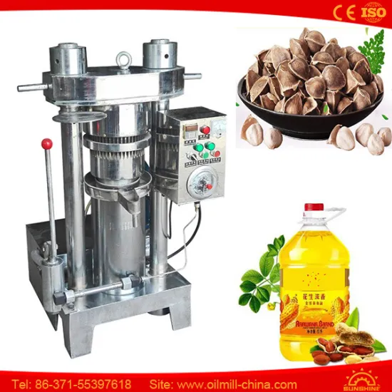 45 Kg Sesame Peanut Walnut Small Coconut Oil Extraction Machine