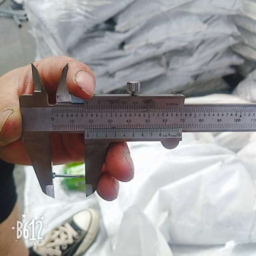 Zinc Coated Concrete Steel Nail