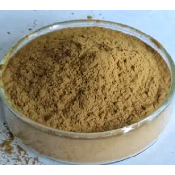 Hot Selling Saponaria Officinalis Extract Powder