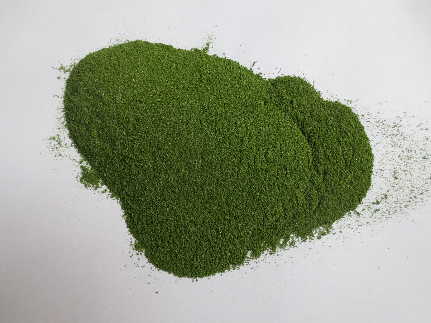 spinach powder2