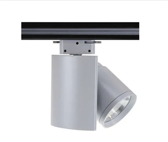 Adjustable LED Track Lights 30W High Brightness