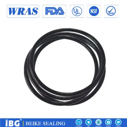 High Precision Buna-N O-Rings