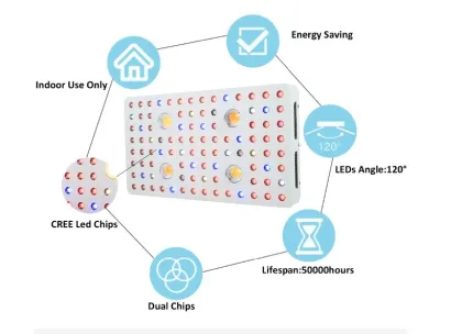 Greenhouse 2000w Led Grow Light Indoor Herb Garden