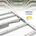 Greenhouse Using Led Grow Light Full Spectrum Diodes