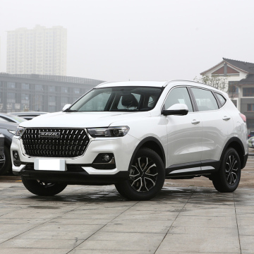 2022万壁のハバルH6第三世代1.5T 2WD Pro SUV