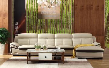 Light color home sofa