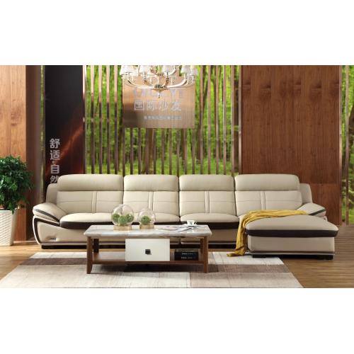 Light color home sofa