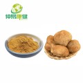 Leões alimentares Caine Extract Powder