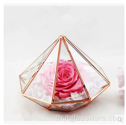 เพนตากอน Ball Shape Open Plants Glass Terrarium