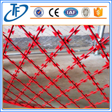 Safety razor wire, razor combat wire