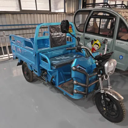 Adult Electric Cargo Tuk Tuk Tricycles - Price and Motorized Options
